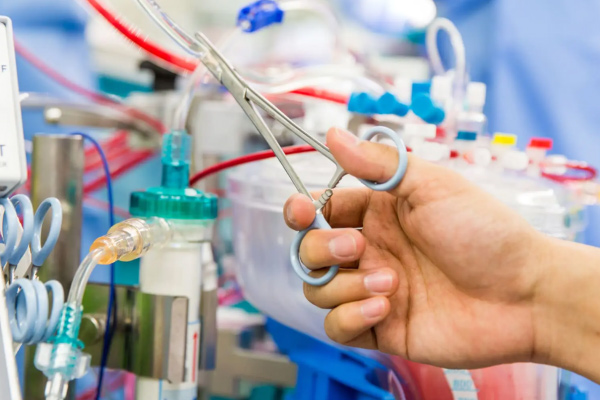 手に職をつけたかったから