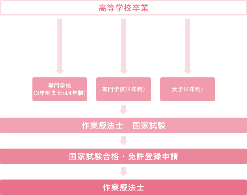 作業療法士になるには