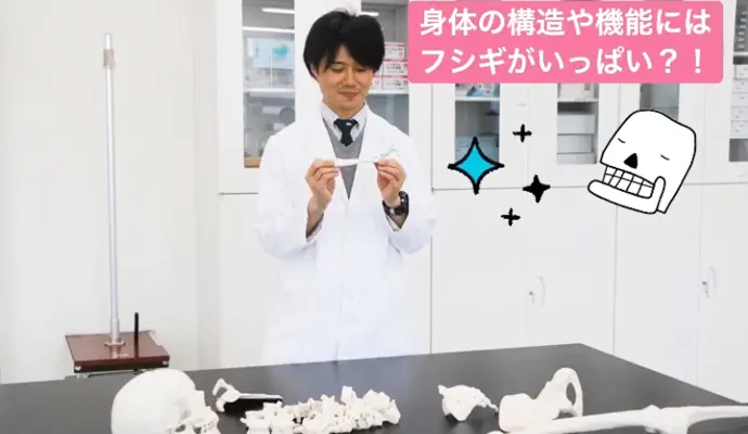 作業療法士は何を学ぶ？～基礎医学実習室～