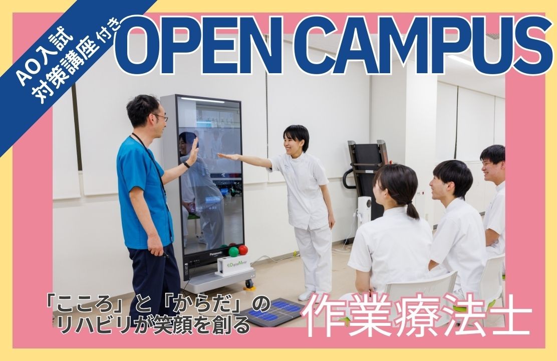 スケジュール
