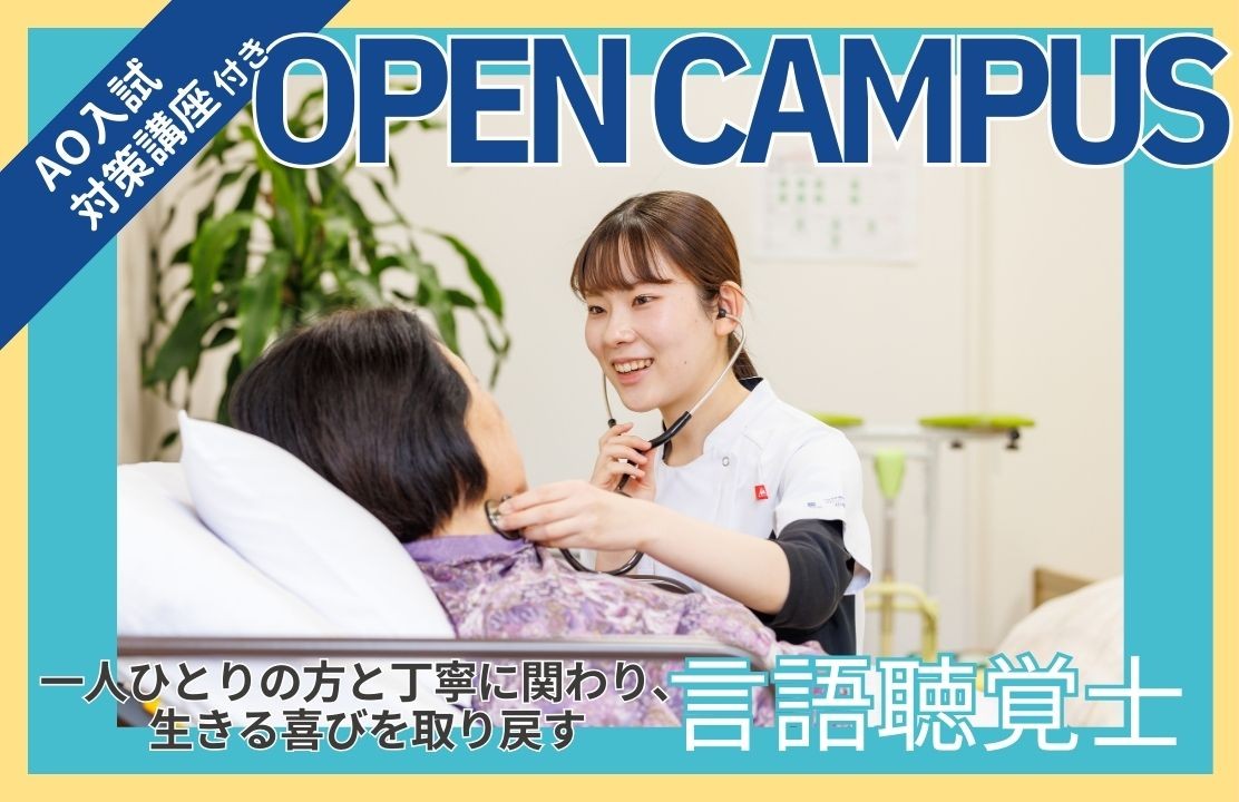 スケジュール