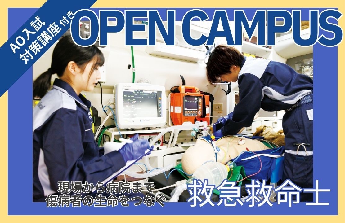 スケジュール