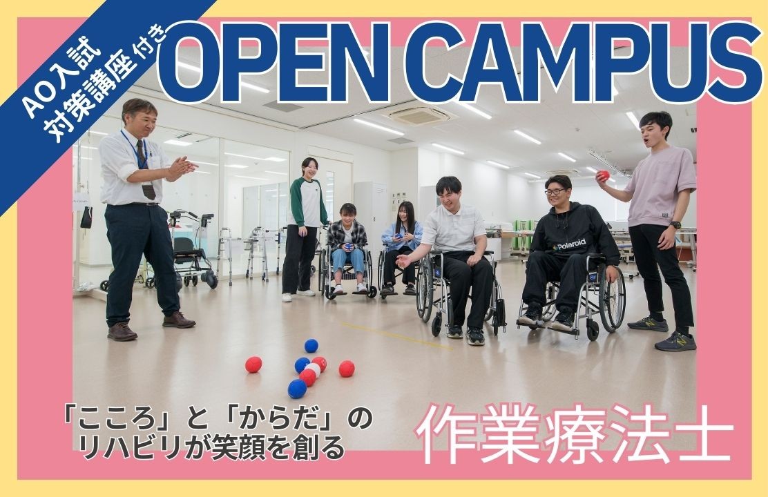 スケジュール