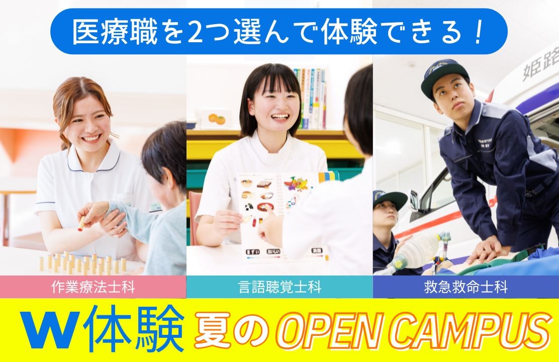 スケジュール