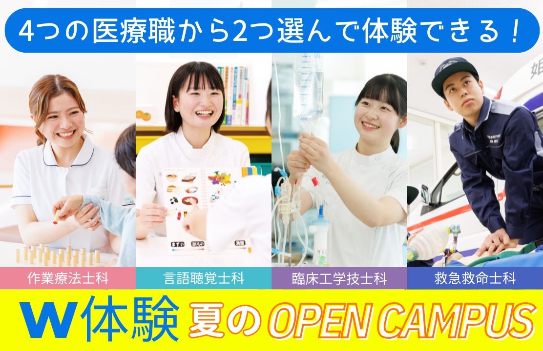 スケジュール