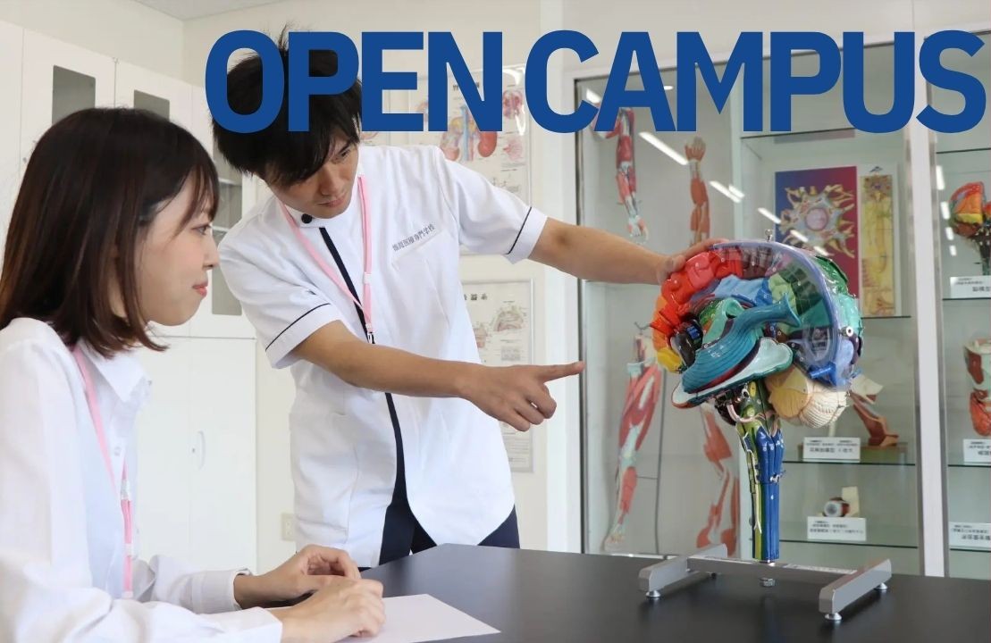 スケジュール